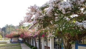 A building with a covered walkway lined with flowering trees and a well-maintained lawn. - Hotel Termópolis (Sao Sebastiao do Paraiso)