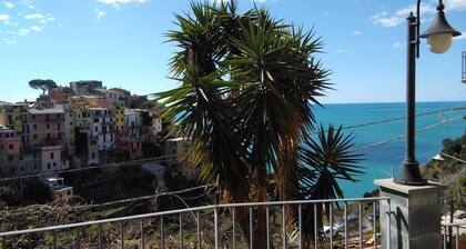 Sole Terra Mare