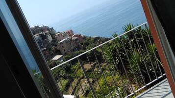 Monolocale, letti multipli (Mare) | Vista balcone