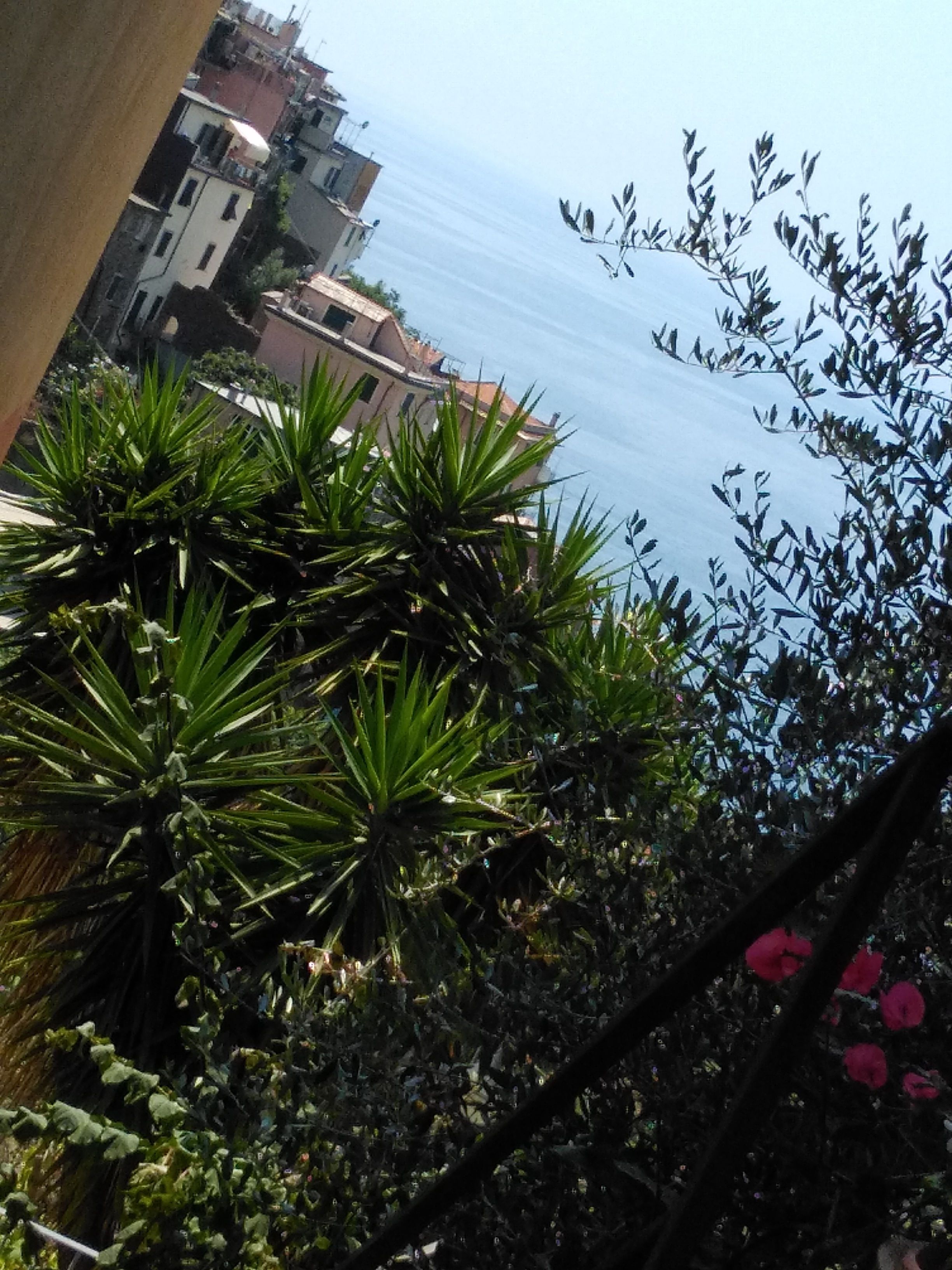 Monolocale, letti multipli (Mare) | Terrazza/patio