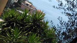 Vista de una zona costera con edificios y una masa de agua.