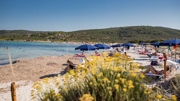 Une plage avec une eau d’un bleu limpide, un rivage sablonneux et plusieurs parasols qui offrent de l’ombre.