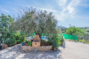 Property grounds - Cubo's Villa Jara / pool / field / tranquility / trees / (Alhaurín el Grande)