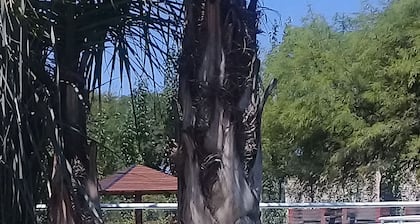 Apart del Cerro
