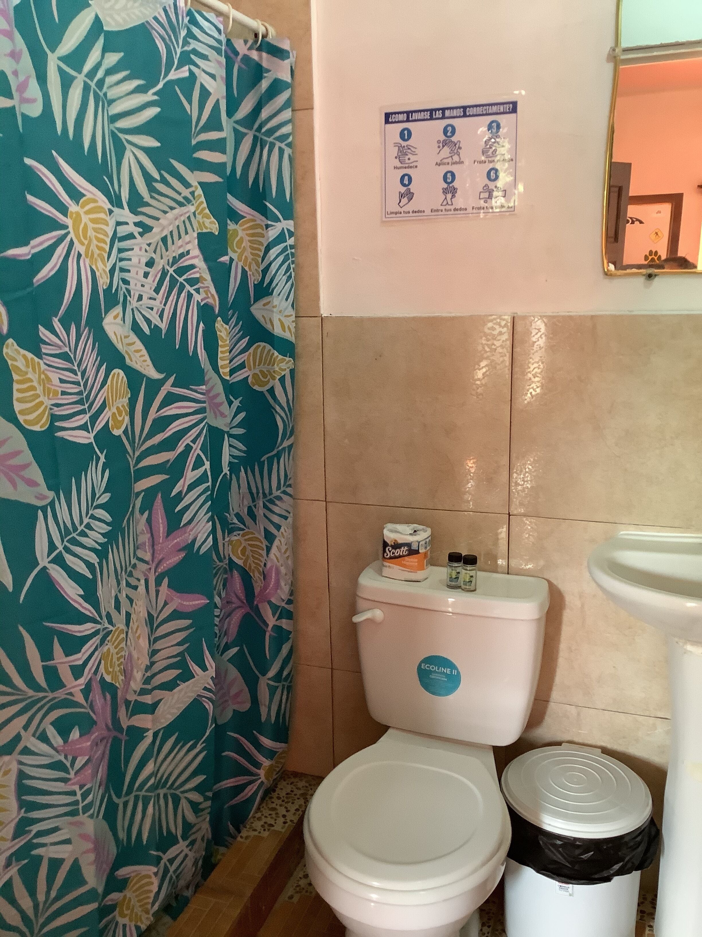 Shower, rainfall showerhead