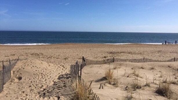 Una playa arenosa con una valla de madera y una vista despejada del océano.