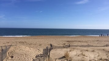 Plage à proximité, chaises longues, serviettes de plage