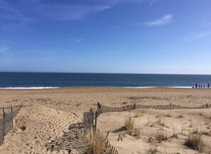 بالقرب من الشاطئ، كراسي للتشمس، مناشف للشاطئ