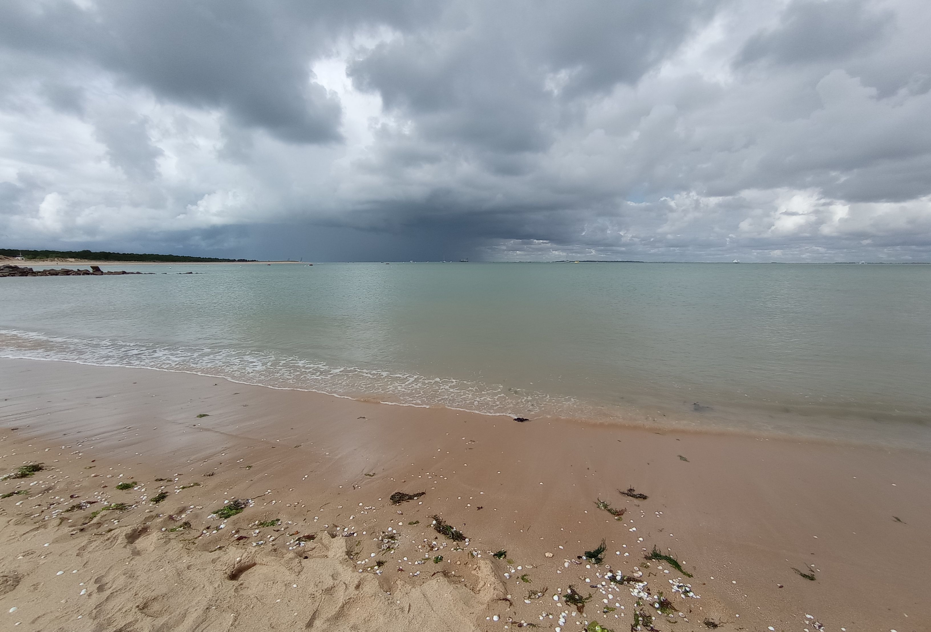 A beach with a sandy shore, scattered seaweed, and small white shells.