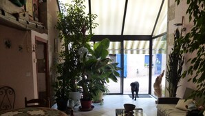 Un salón amplio con un gran ventanal que da al exterior, un comedor con una mesa redonda y varias plantas en macetas.