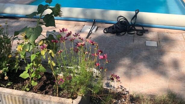 Ein rechteckiger Pool mit klar blauem Wasser, umgeben von einer gepflasterten Liegefläche. Liegestühle und ein kleiner Tisch mit einem weißen Sonnenschirm stehen bereit. Der Pool wird von einer niedrigen Steinmauer begrenzt, und im Vordergrund befinden sich blühende Pflanzen.