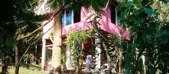 Vanilla Jungle Lodge - Bed & Breakfast
