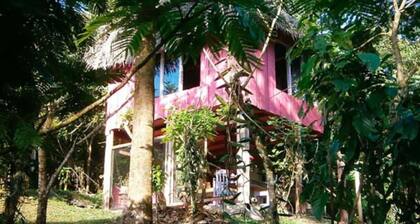 Vanilla Jungle Lodge - Bed & Breakfast