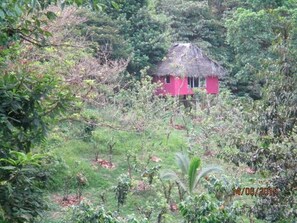 Bagian depan properti