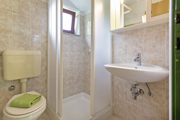 Un baño con inodoro, ducha y lavamanos.