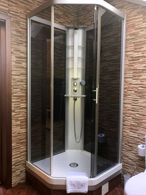Enjoy a refreshing shower experience with a handheld showerhead and wall-mounted control panel.