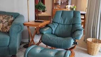 TV, fireplace, DVD player, books