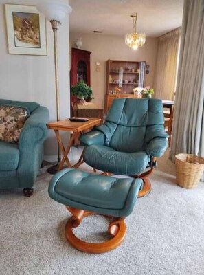 TV, fireplace, DVD player, books