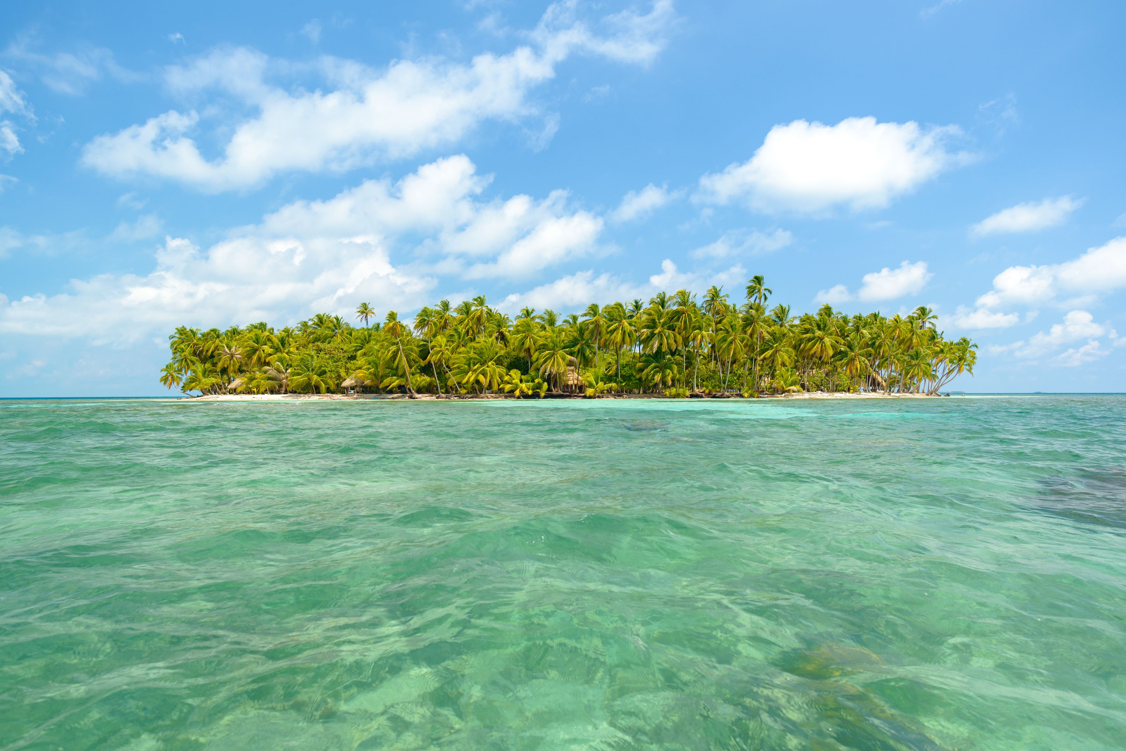 Une île tropicale aux eaux turquoise et cristallines, bordée de palmiers luxuriants.