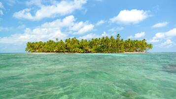 Une île tropicale aux eaux turquoise et cristallines, bordée de palmiers luxuriants.