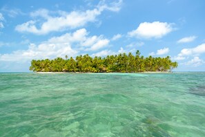 A tropical island with clear turquoise waters and lush green palm trees.