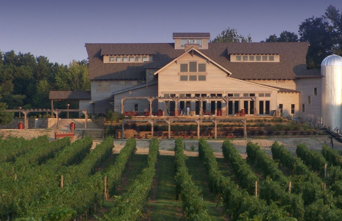 A large building with a porch, surrounded by rows of grapevines.