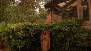 Jardín
