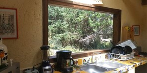 View from property - Ermis house (San Cristóbal de las Casas)