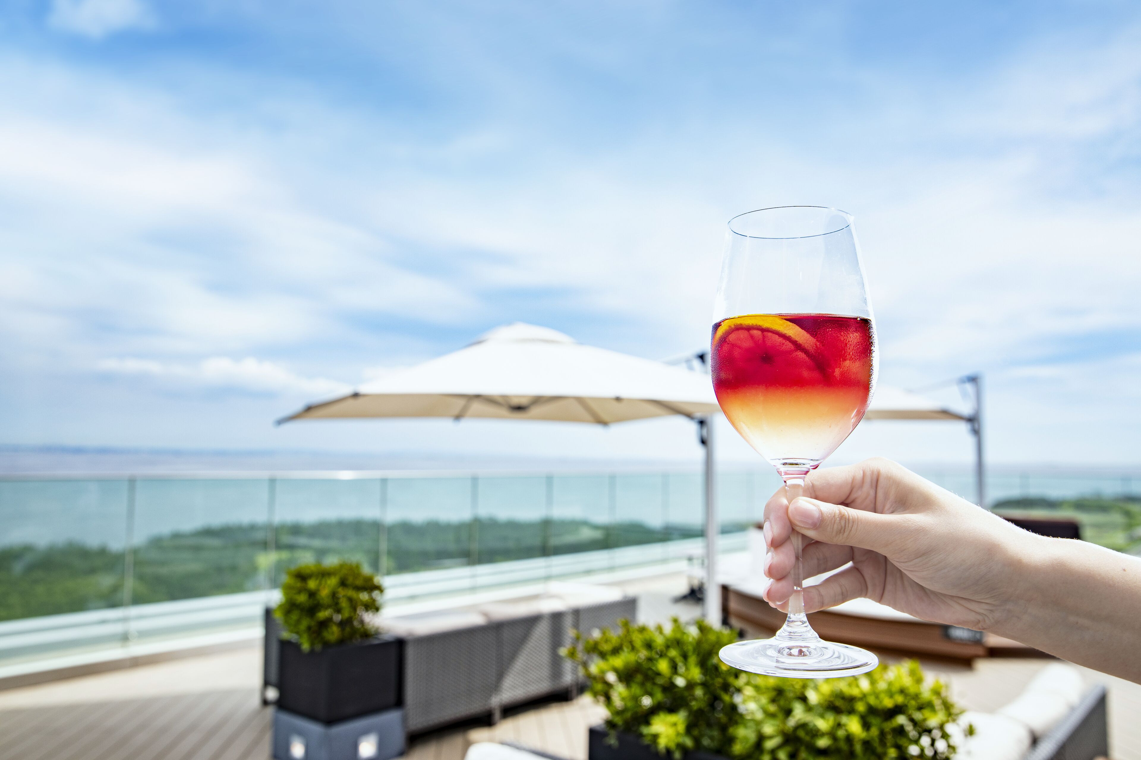 A hand holding a glass of red drink with a slice of fruit, on a balcony with a view of the ocean and greenery.