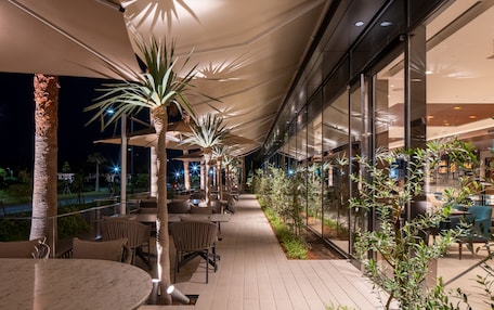 An outdoor patio area with tables and chairs, palm trees, and a glass wall.