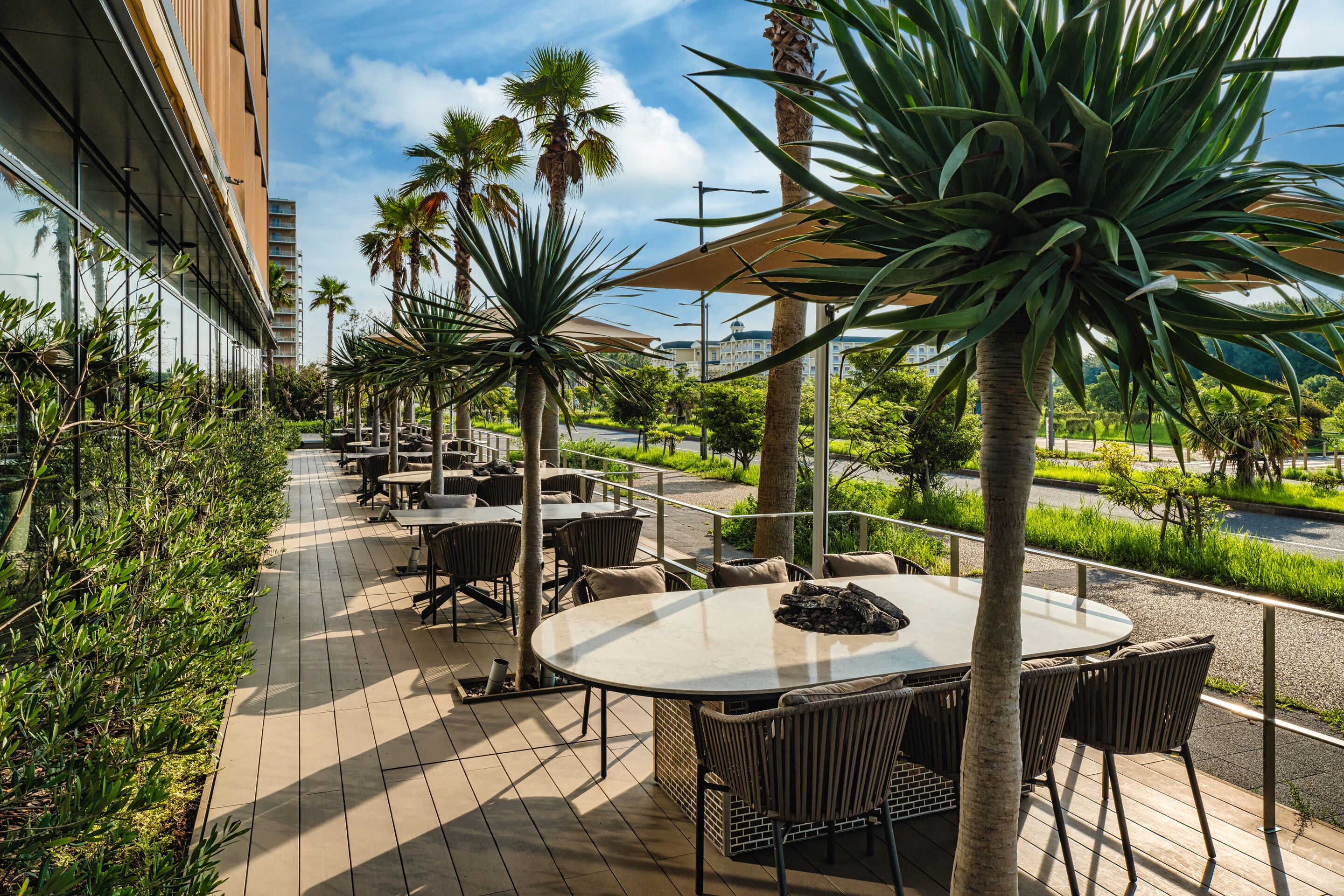 An outdoor patio with round tables and chairs, surrounded by palm trees and greenery, with a view of a building in the background.