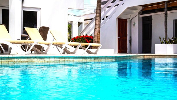 A pool area with white lounge chairs and a palm tree.