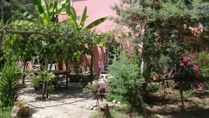 A pink building with a tiled roof, surrounded by lush greenery and a palm tree. - Beautiful country house with terrace and garden, ideally located (Cittanova)