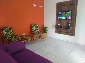 Fernseher