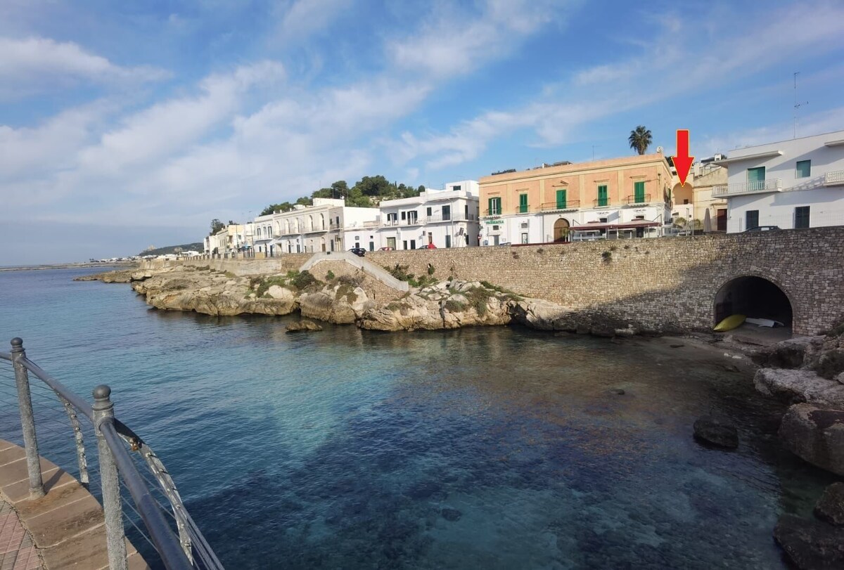 Imagen de perfil del propietario o de la propietaria