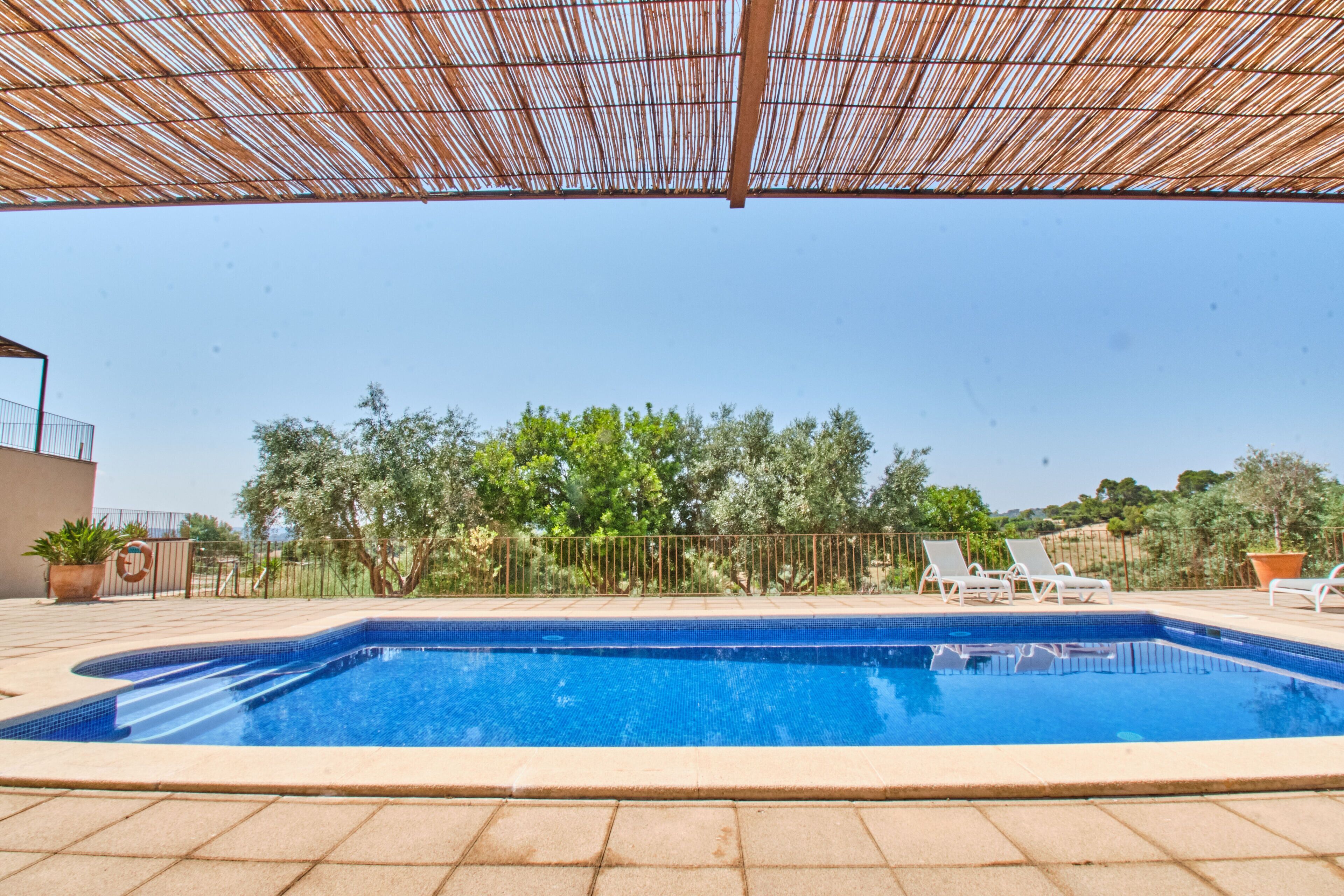 outdoor pool, pool loungers