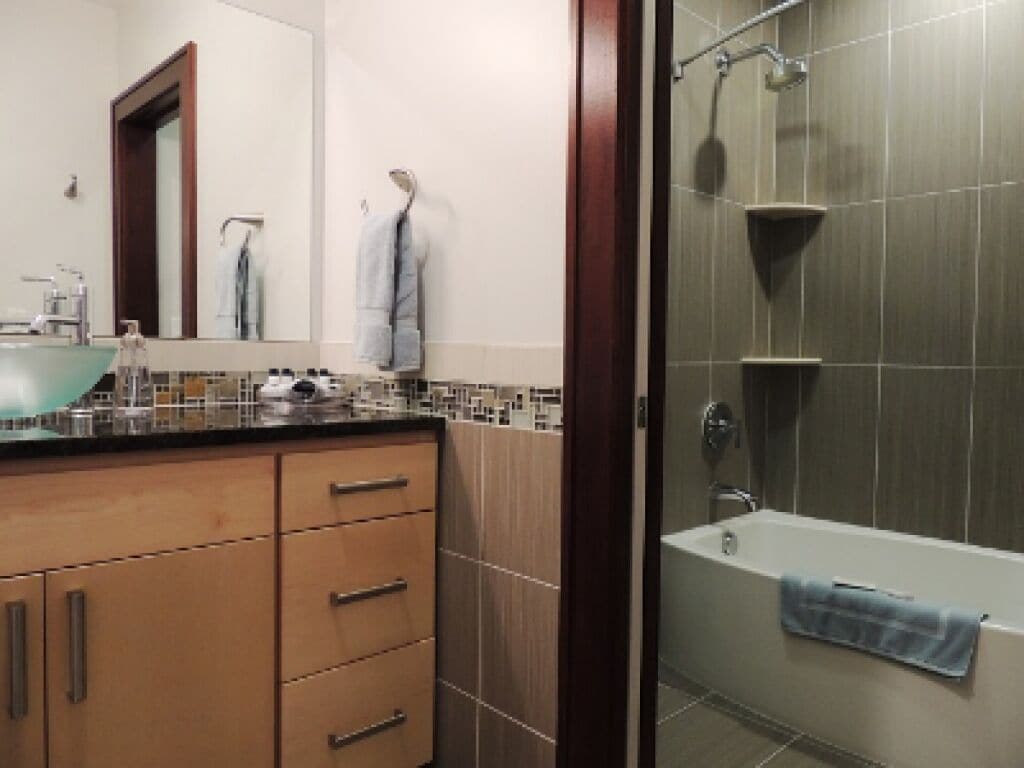 luxury suite, private bathroom (the huron)