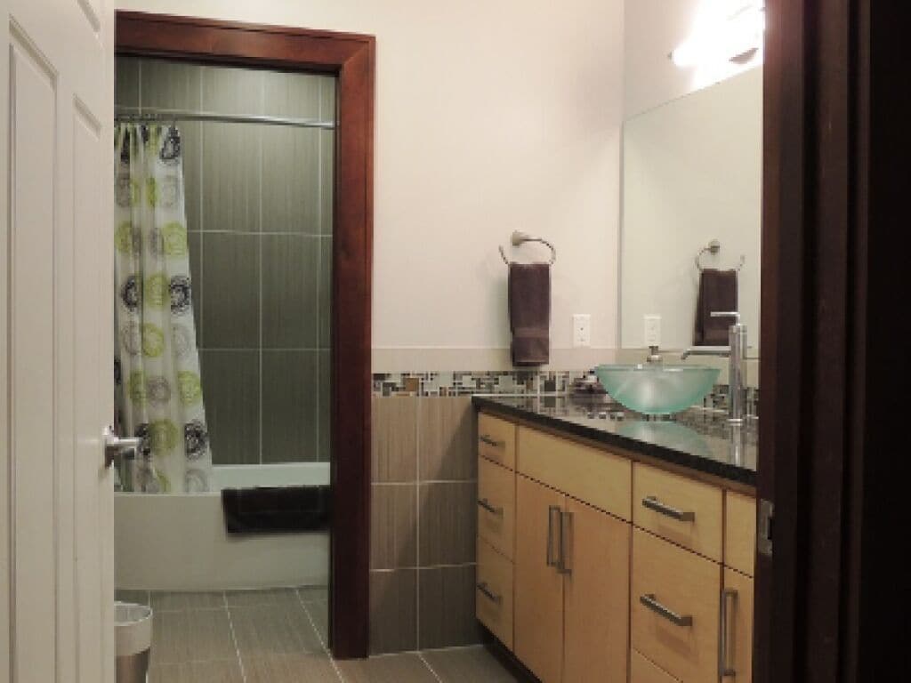 luxury suite, private bathroom (the michigan)