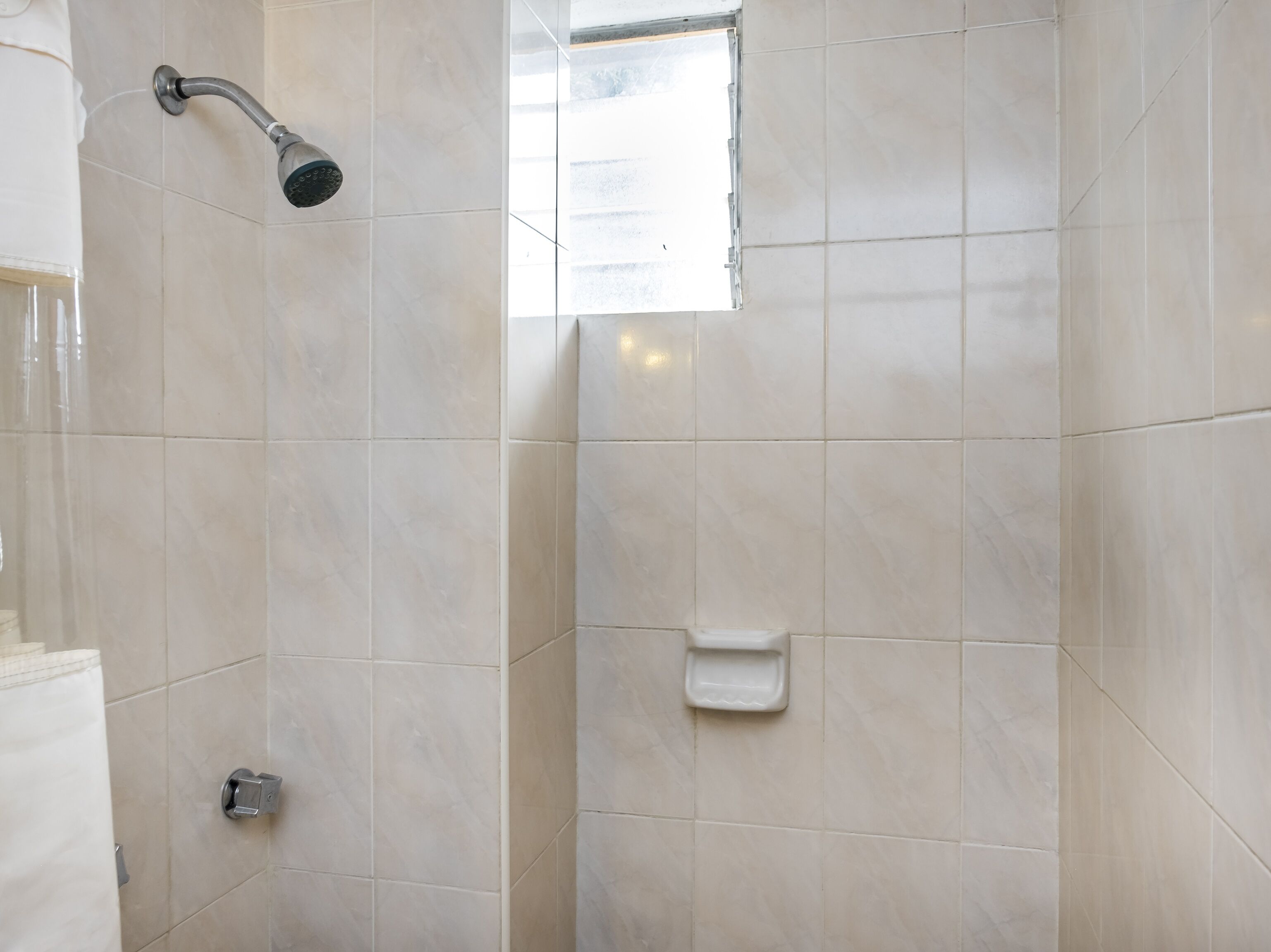 A bathroom with a shower, a window, and a soap dish.