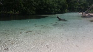 Beach - Villa Ximenoa River - Excelent Vacation Rental (La Joya)