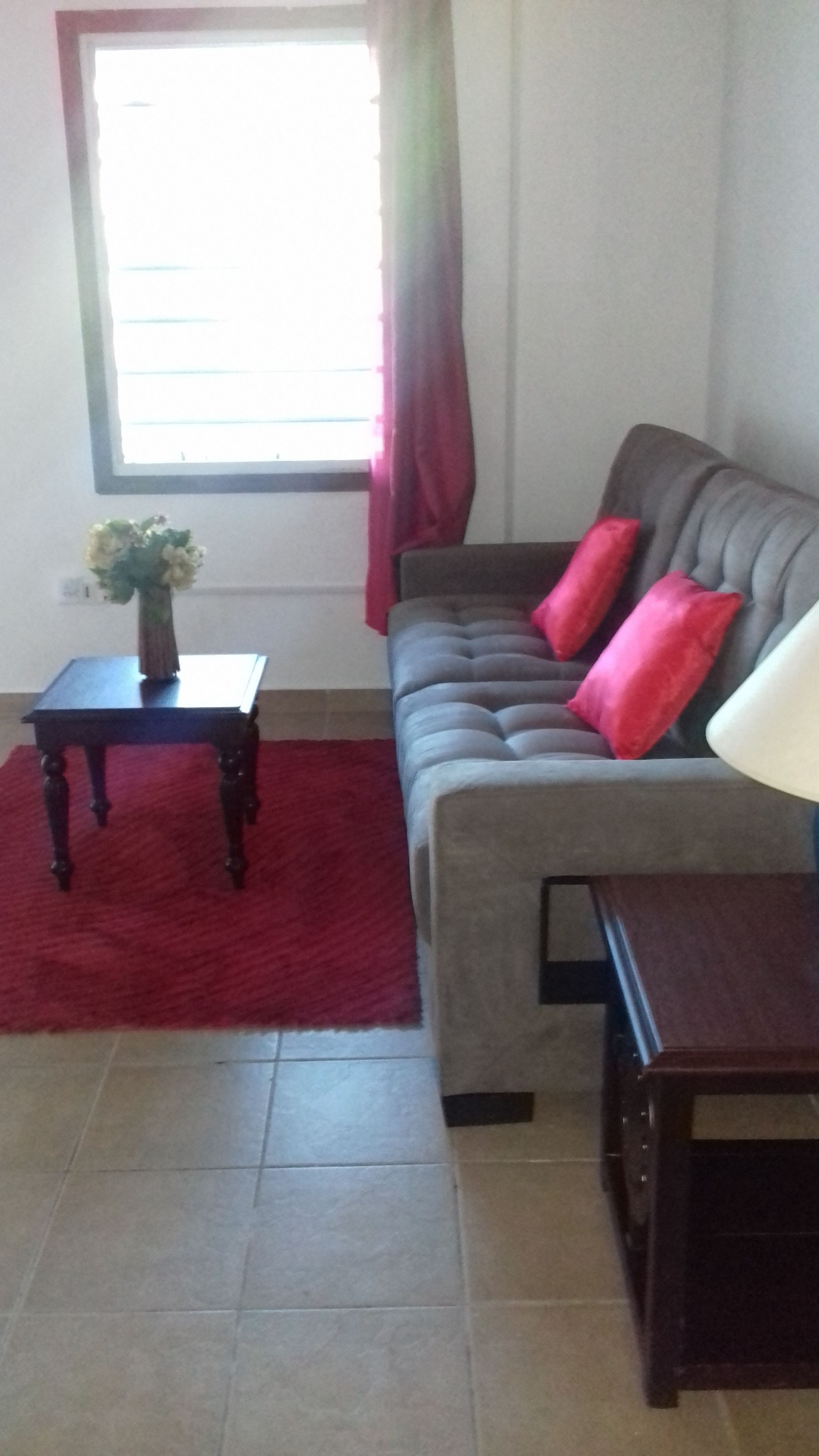 Superior Apartment, 1 Queen Bed with Sofa bed, Hill View | Living area