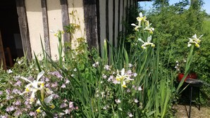 Ein Garten mit verschiedenen Blumen und Pflanzen vor einem Gebäude mit Schwarz-Weiß-Fassade.