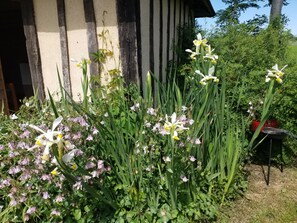 DĂ©tail de lâextĂ©rieur