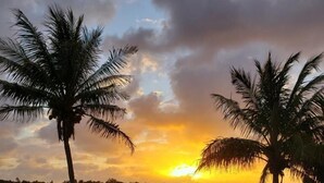 Una piscina con vista al atardecer, palmeras y un muelle que se adentra en el agua.