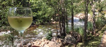 Swiftcurrent Lodge and Cottages by the River