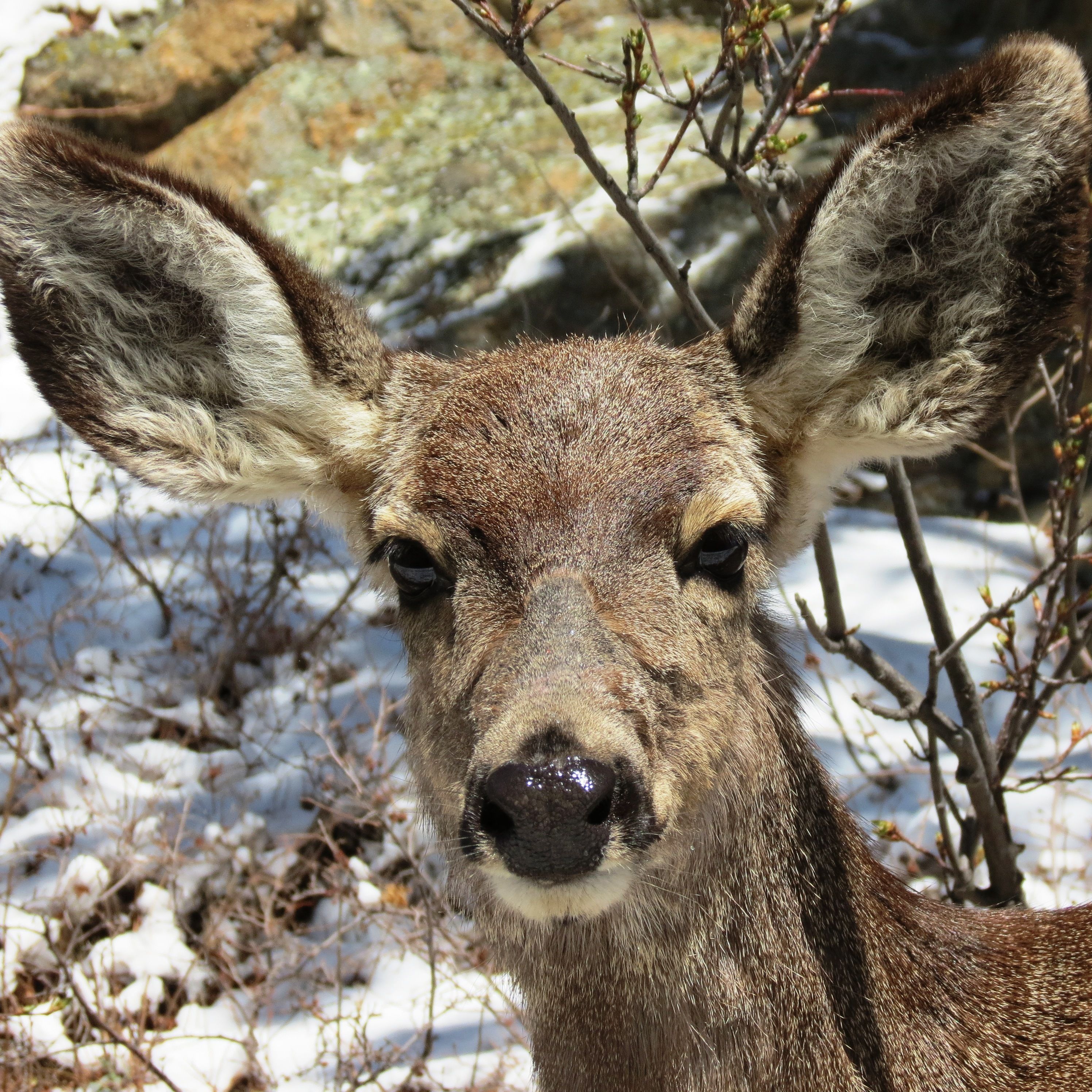 บริเวณภายนอก