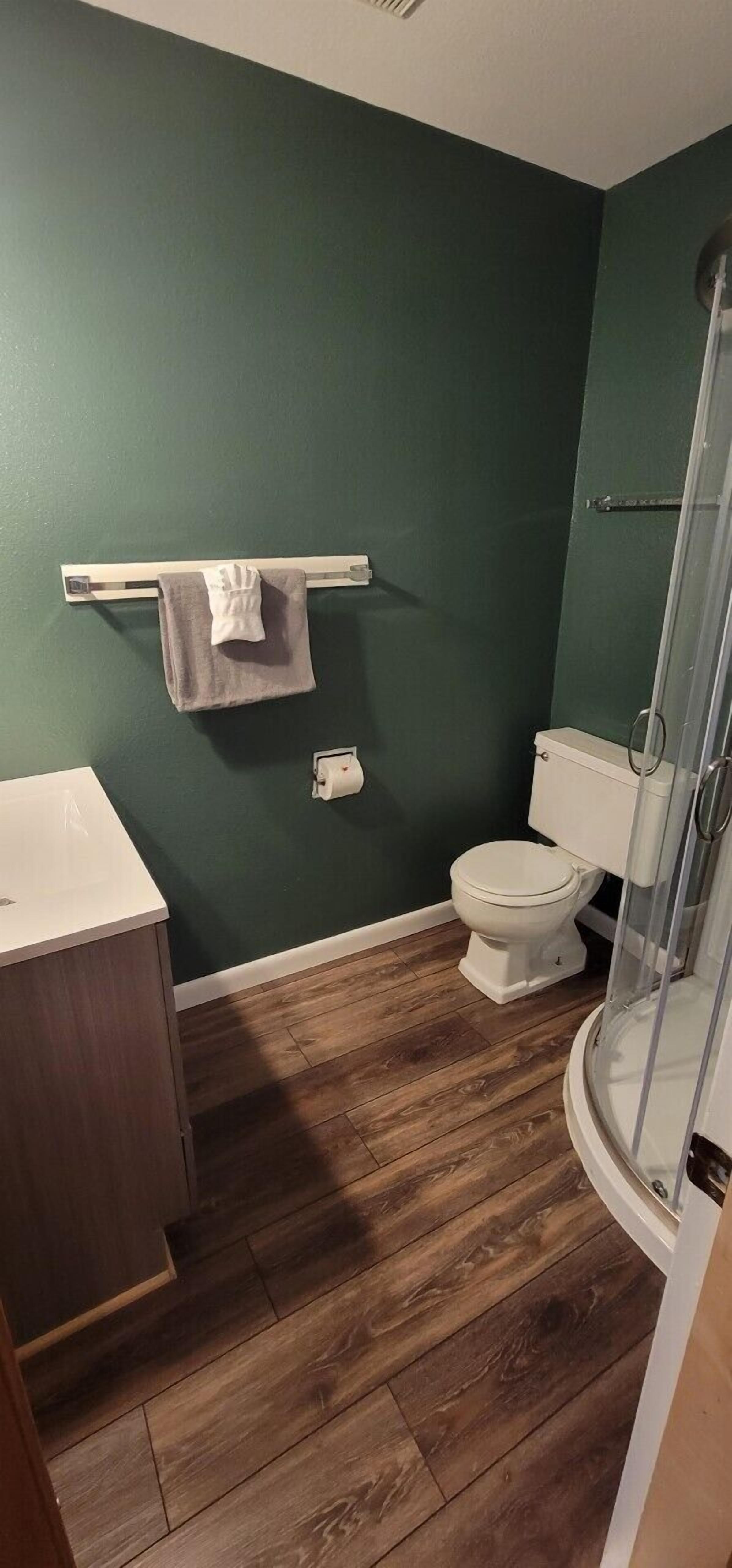 A bathroom with a toilet, a shower, and a wooden floor.