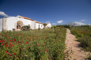 Exterior - F - Casa da Salga in Quinta das Alagoas (Praia de Luz)