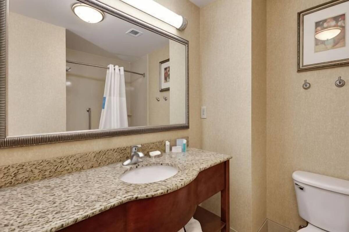A bathroom with a granite sink, a mirror, a toilet, and a framed picture on the wall.