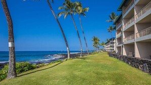 A beachfront hotel with a grassy pathway lined with palm trees, leading to a building with balconies.